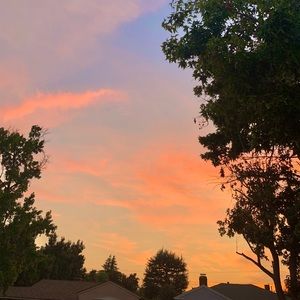 Meet your Posher, Lena